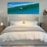 21 Dolphins