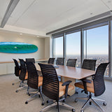 21 Dolphins Longboard