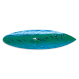 21 Dolphins Shortboard