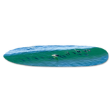 21 Dolphins Longboard
