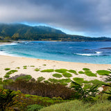 River Beach Sanctuary