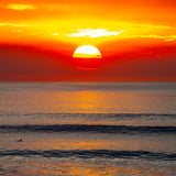 Endless Summer 12" x 12" Metal