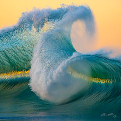 Ocean Dance 12