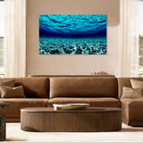 Equinox / Last Limited Editions