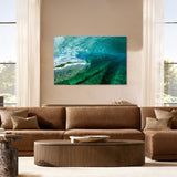 Secret Reef / Last Limited Editions