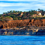 Torrey Pines Bluff