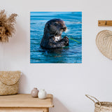 Otter 12" x 12" Metal