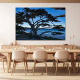 Beach Tree