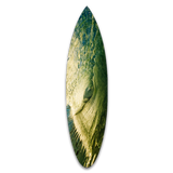 Green Tube Del Mar Shortboard