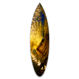 Indigo Water Shortboard