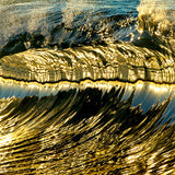 Champagne / Last Limiteds