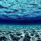 Equinox / Limited Editions