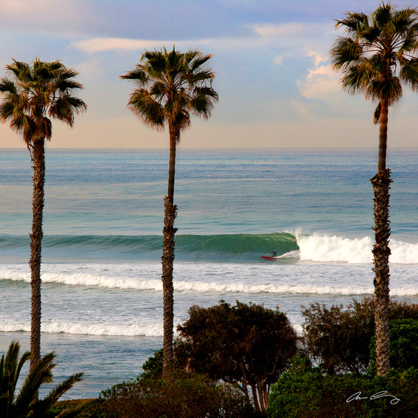 Cardiff Longboarder 12