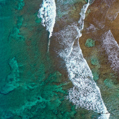 Paradise Reef