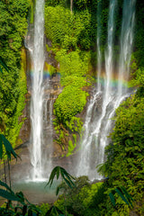 Lush Oasis
