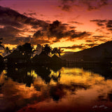 SUPER - Choose  Your Single (1) 14"x14" Summer Art Piece