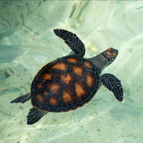 SUPER - Choose  Your Single (1) 14"x14" Summer Art Piece