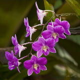 SUPER - Choose  Your Single (1) 14"x14" Summer Art Piece