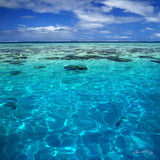 SUPER - Choose  Your Single (1) 14"x14" Summer Art Piece