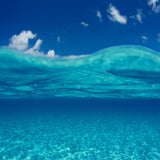 SUPER - Choose  Your Single (1) 14"x14" Summer Art Piece