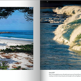 NEW Carmel-by-the-Sea 3rd Edition Book