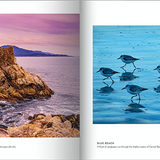 NEW Carmel-by-the-Sea 3rd Edition Book