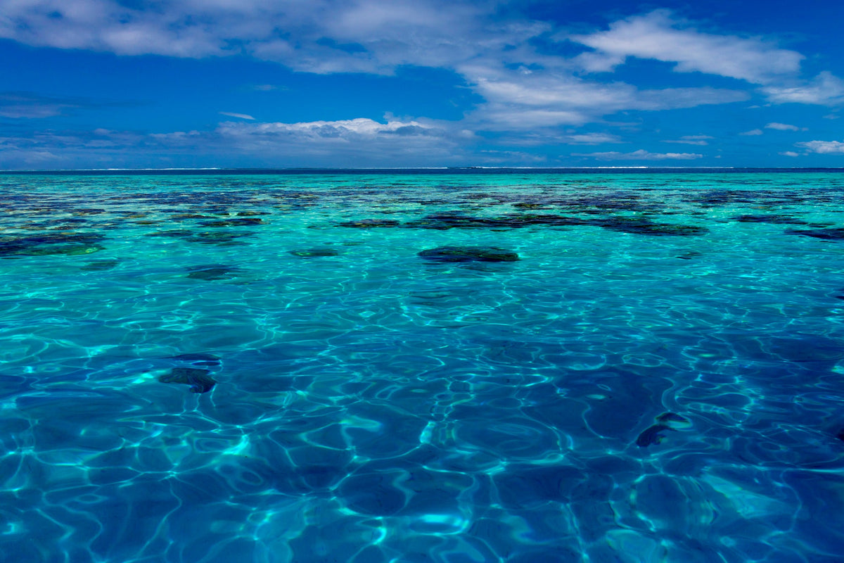 Tahiti Reef