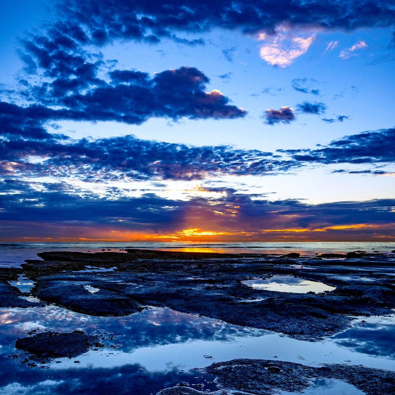 Blue Rhapsody