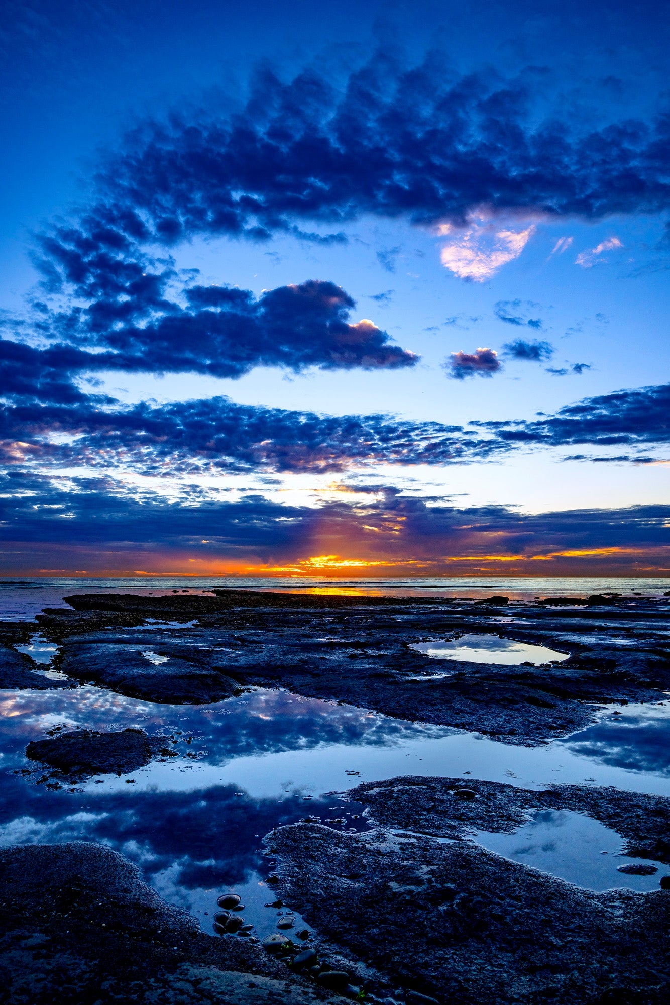 Blue Rhapsody