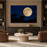 Blue Velvet by Aaron Chang, shown in a library