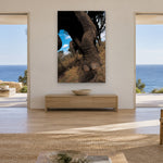 Elephants Foot by Aaron Chang, shown in a living room with ocean doorways