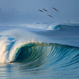 Emerge