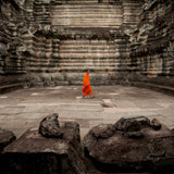 Lone Monk