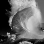 Nautilus