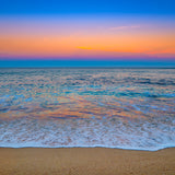Pastel Beach / Last Limited Editions