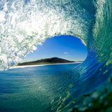 Perfect View