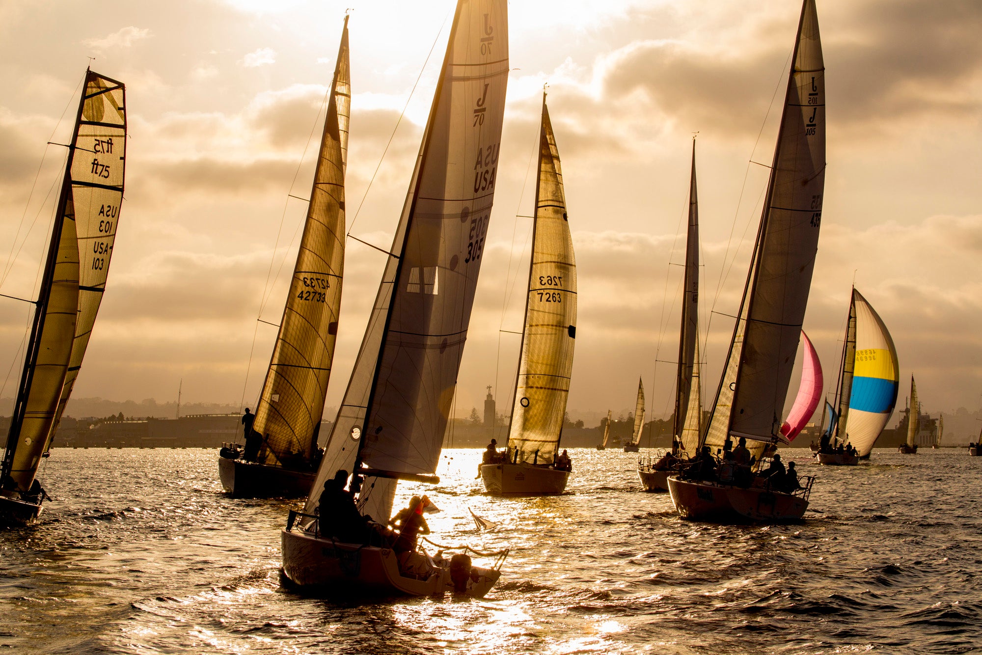 Sailboats