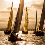 Sailboats