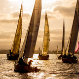 Sailboats