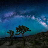 Sea of Stars [REMASTERED]