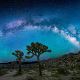 Sea of Stars [REMASTERED]