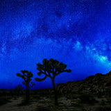 Sea of Stars