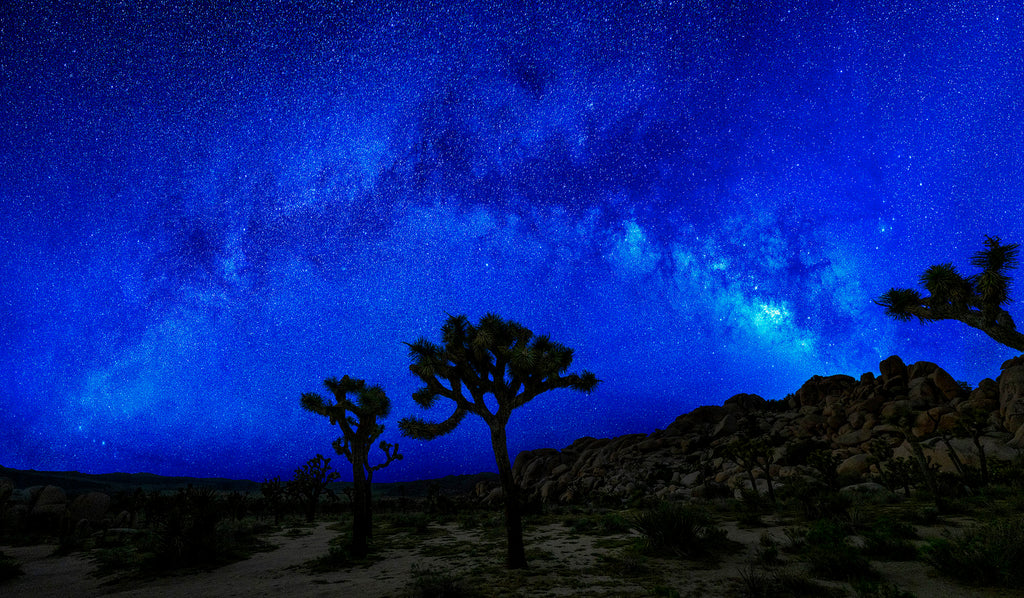 Sea of Stars