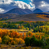 Sierra High Country