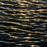 Sparkles