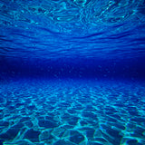 The Shallows