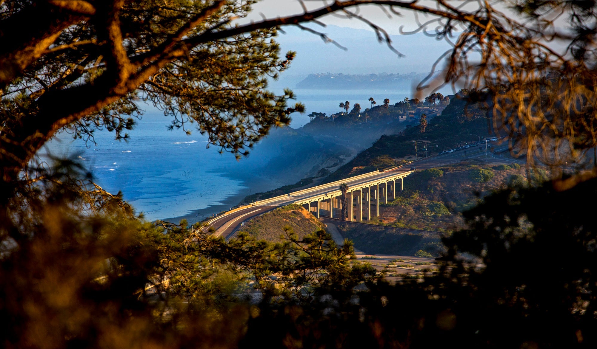 Bridge at Torrey Pines