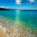 Waimea Water