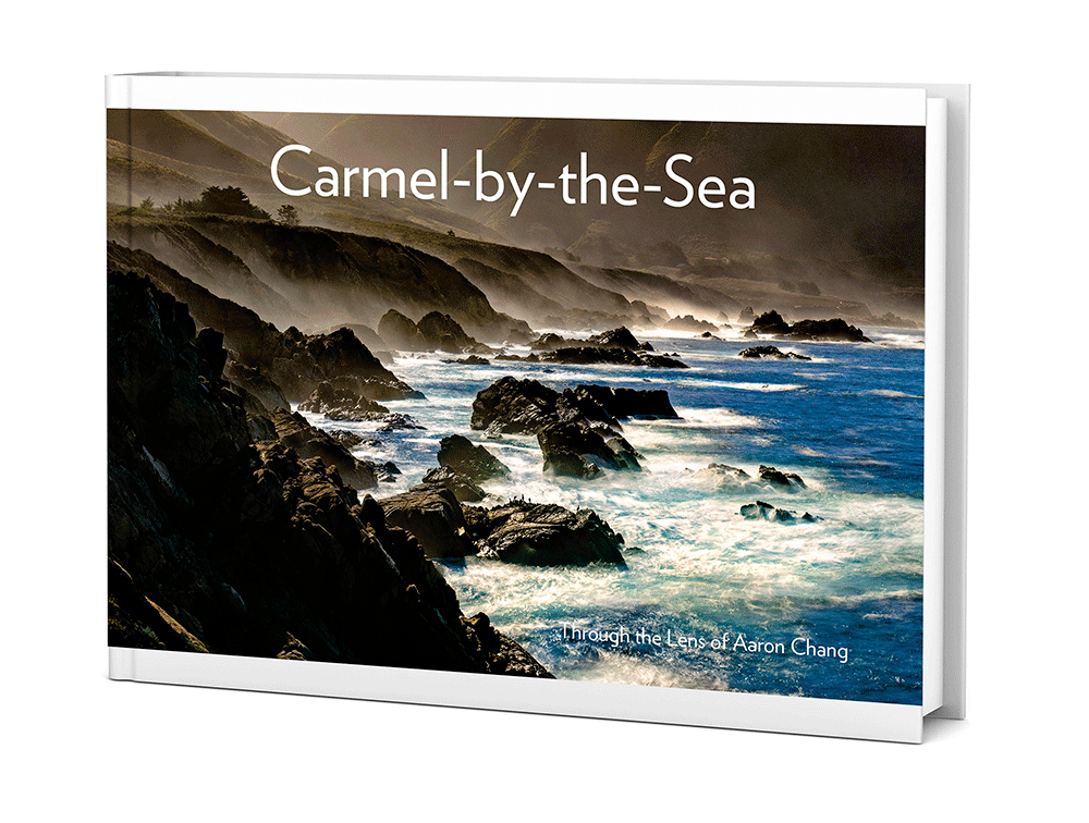 Best Selling Gallery Books
