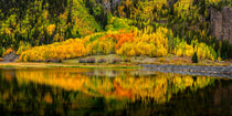 Aspen Mirror – fine art photograph by Aaron Chang